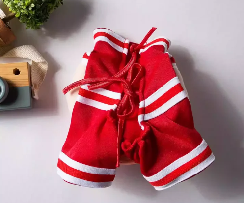 Vyora Basketball Dog Costume