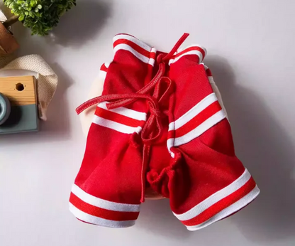 Vyora Basketball Dog Costume